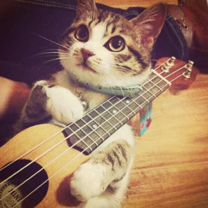 中国学生男男GayXNXX
